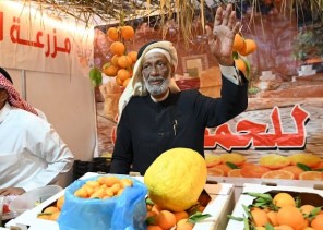 مهرجان الحمضيات بجذب الزوّار ويجمع بين التسوق الزراعي والترفيه المسرحي