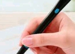 جذور راسخة… وهوية شامخة من التأسيس إلى التمكين