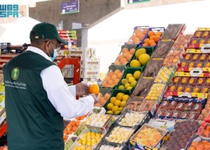 قبل رمضان.. رصد 1475 إنذاراً ومخالفة خلال 6281 جولة لضمان سلامة الغذاء