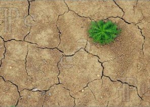 عمل صالح ينتفع به