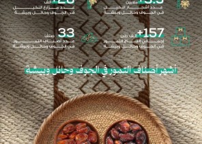 33 صنف تمر و3.5 مليون نخلة.. حلوة الجوف وصفري بيشة تتألق على موائد رمضان