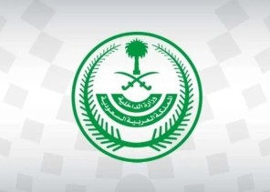 إحباط محاولة دخول 17 مقيماً للمشاعر المقدسة بطريقة غير نظامية