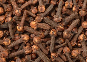 النمر يكشف السر: لماذا لا يُعتمد على القرنفل في وقف النزيف؟