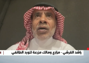 سعرها خيالي.. القرشي يكشف عن “أغلى تولة” في تاريخ الورد الطائفي (شاهد)
