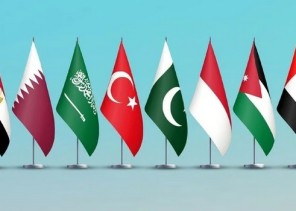 السعودية ومصر وتركيا ودول أخرى تستنكر انتهاكات بحق محتجزي أسطول غزة
