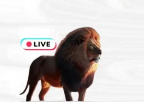اقتصاد “الهدايا الرقمية”: كيف نوازن بين المكاسب الفردية والاستقرار المجتمعي؟