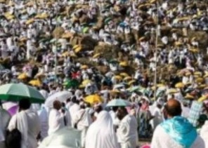 يوم عرفة.. شعيرةٌ تُحيي القلوب وتجمع الأمة