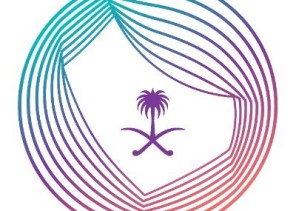 إحالة مواطن إلى النيابة العامة بعد إساءته لدولة شقيقة ورموزها عبر منصة تواصل