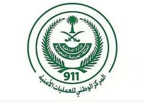 العمليات الأمنية: ضبط 15,231 مخالفًا وترحيل أكثر من 11 ألفًا خلال أسبوع