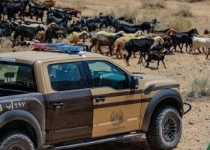 الأمن البيئي يضبط مواطنًا أشعل النار في موقع غير مخصص بالشرقية