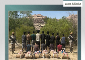 حرس الحدود بعسير يحبط تهريب 240 كيلوجرامًا من القات ويقبض على 14 مخالفًا