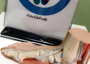 مركز الغدد الصماء والسكري بجازان ينفذ حملة بعنوان “مشاكل القدم السكري” وطرق الوقاية من المضاعفات الخطرة