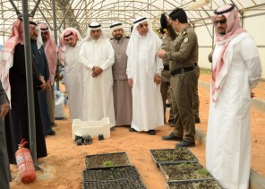 غرس 1000 شجرة من نبات المورينقا والسدر بإصلاحية الرياض