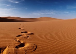 العثور على مفقود الأفلاج وقد علقت سيارته في الرمال وإحدى الآبار أبقته على قيد الحياة