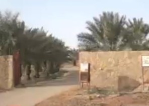 بالفيديو.. مواطن يفتح مزرعته طوال العام مجاناً متنزهاً لأهالي الجوف ووافديها والمارين بها