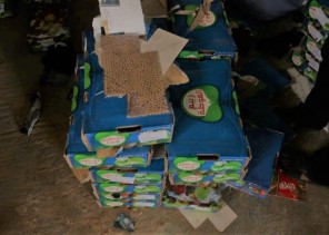 بالصور…الجمارك تحبط تهريب 1.4 مليون من حبة “كبتاجون” مخبأة داخل إرساليتي “كاسترد وتفاح”