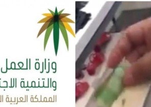العمل : تتخذ قرار بترحيل المدير اللبناني صاحب فيديو “ريال مكافأة ” لعاملتين سعوديتين