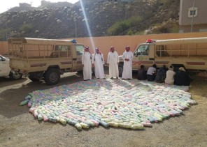 بالصور.. دوريات محافظة الداير تنجح في ضبط مخالفين ومهربات متنوعة