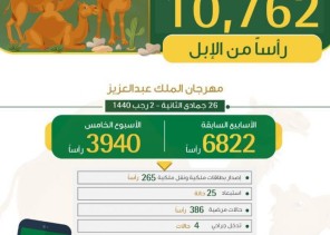 “البيئة”: فحص وترقيم 10.7 آلاف رأس من الإبل المشاركة في مهرجان الملك عبدالعزيز