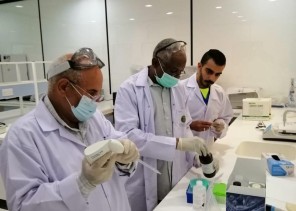 “البيئة” تشارك في مهرجان الملك عبدالعزيز للصقور بعيادات بيطرية وفرق إرشادية