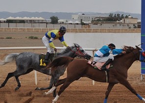 غداً.. ميدان فروسية حائل يقيم حفل سباقه السادس