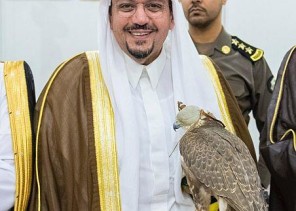 أمير القصيم يحمل صقراً في يده خلال مهرجان للصقور بالأسياح.. ويوجه بإقامة سوق للطيور النادرة