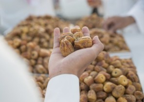 تعرف على أسعار أصناف التمور في مهرجان بريدة 39