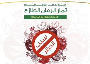 بشكل مؤقت “البيئة” تحظر استيراد ثمار الرمان من اليمن
