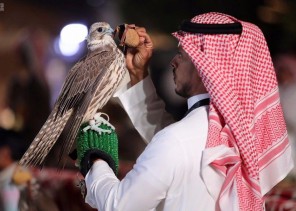 تعرف على هواية تربية الصقور وعراقتها