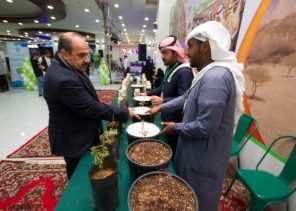 المهندس الرويلي يقف على فعاليات أسبوع البيئة بمنطقة تبوك