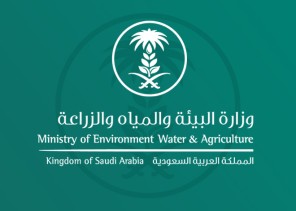 “البيئة” تنفذ برنامجاً تدريبياً حقلياً لتقليم العنب بالجوف