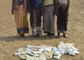 بالصور.. حرس الحدود يحبط تهريب طن وربع “حشيش” ويلقي القبض على 37 شخصاً متورطين في العملية