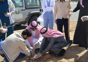 فرع وزارة البيئة بتبوك يستزرع ست أنواع من البذور على طريق شرما