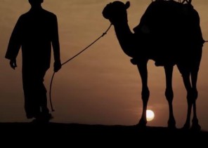 بالفيديو.. “الحج” تتيح فرصة الانتقال من مكة إلى المدينة من نفس الطريق الذي سلكه النبي ﷺ