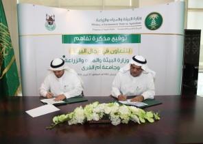 “البيئة” وجامعة أم القرى توقعان مذكرة تفاهم لتنفيذ برامج أكاديمية ودراسات بيئية