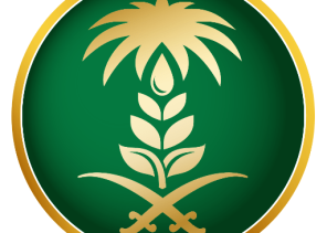 “البيئة” توفر 8 مليارات م³ من المياه الجوفية في 2019 بعد إيقاف زراعة الأعلاف الخضراء