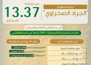 “البيئة” تنجح في مكافحة الجراد الصحراوي بـ “الأفلاج” و”السليل” على مساحة 13.3 ألف هكتار