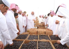 أكثر من 2 مليون كيلو جرام حصيلة مبيعات مهرجان المدينة المنورة الدولي للتمور في أسبوعه الثاني