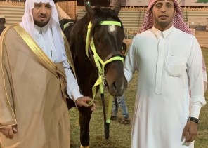 مربط الخفيج للخيول العربية يشارك في فعاليات كرنفال الجوف