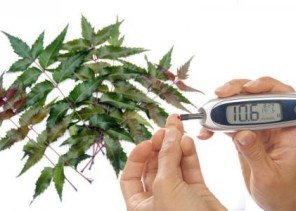 أعشاب يزعم مروجوها أنها تشفي من مرض السكري.. و”الغذاء والدواء” ترد