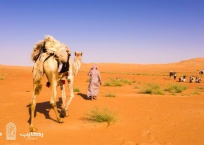 قافلة “ركايب” تتأهب لعبور صحراء الربع الخالي بمشاركة 100 مغامر (صور)
