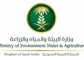 دراسة ١٢٠٠ دحلاً لتنمية مصادر المياه في المملكة