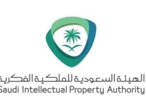 “الملكية الفكرية”: الرسومات حق لأصحابها مدى الحياة.. والسجن والغرامة عقوبة المخالفين