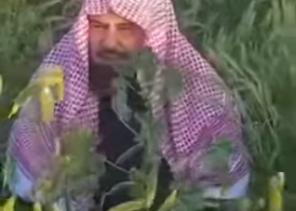 فيديو.. الشيخ عبدالرحمن السديس يتنزه في “ربيع عرعر”