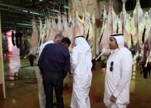 “البيئة” تبدأ بتطوير السلالات الحيوانية وراثياً بالتعاون مع نيوزلندا