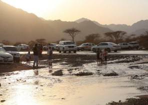 الأمطار تغير أجواء المدينة المنورة وتدفع الأهالي للتنزه في البر (صور)