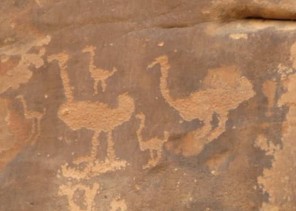 مالا تعرفه عن جبة حائل.. نقوش ورسوم ما قبل التاريخ