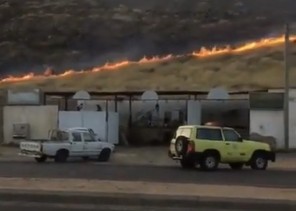 اشتعال الحرائق بحشائش ربيع السويق في ينبع النخل (فيديو)