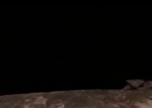 حقيقة العثور على «نمر عربي» بجبال الجعرانة في مكة