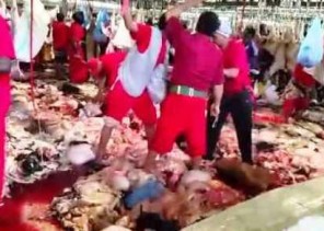 بعد فيديو تكدس الذبائح.. أمير مكة يوجه بإغلاق مسلخ المعيصم بشكل نهائي